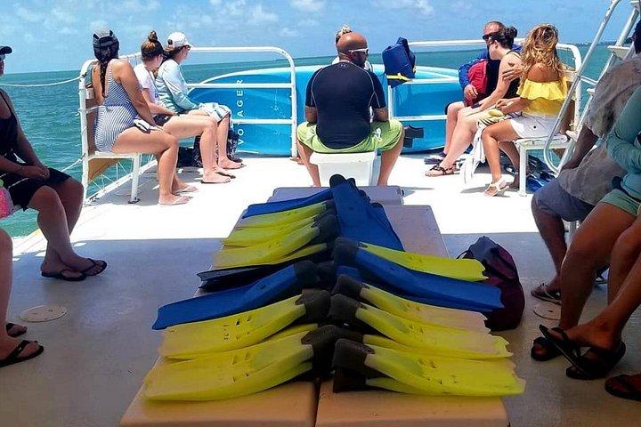 Florida Keys : 2 - Stunde Schnorcheln Abenteuer