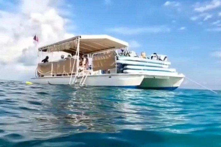 Florida Keys : 2 - Stunde Schnorcheln Abenteuer