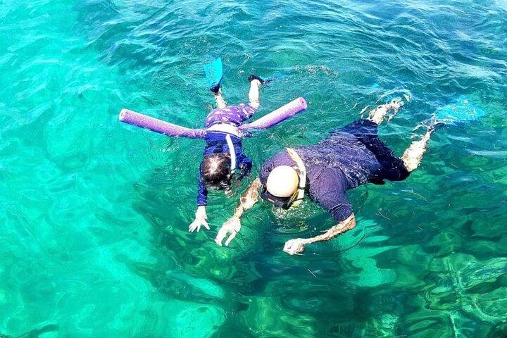 Miami: Aventura de snorkel en Miami para principiantes en yate privado