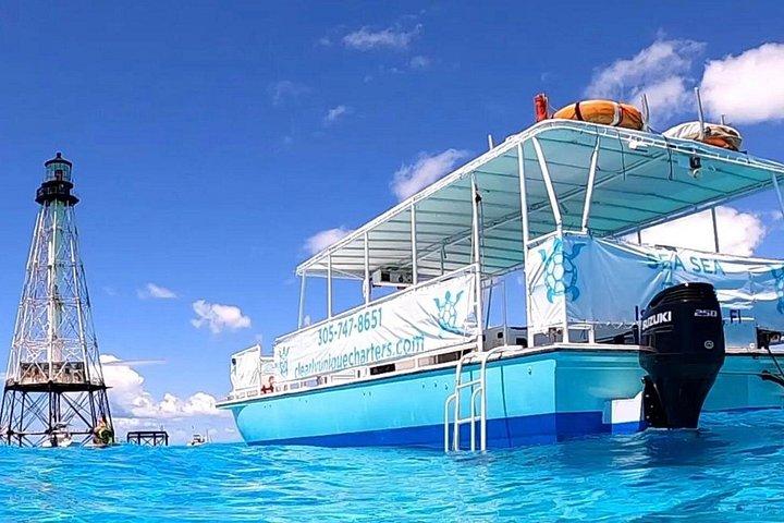 Florida Keys : 2 - Stunde Schnorcheln Abenteuer