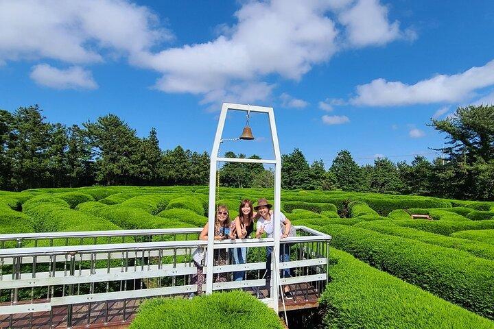 2-dages privat taxi tur i Jeju Island