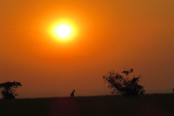 Excursão de safári privado de 3 dias no Murchison Falls Park Safari