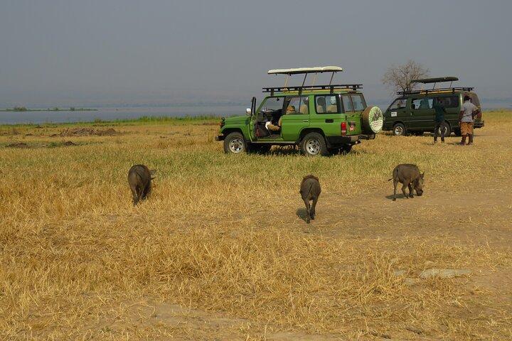 Excursão de safári privado de 3 dias no Murchison Falls Park Safari