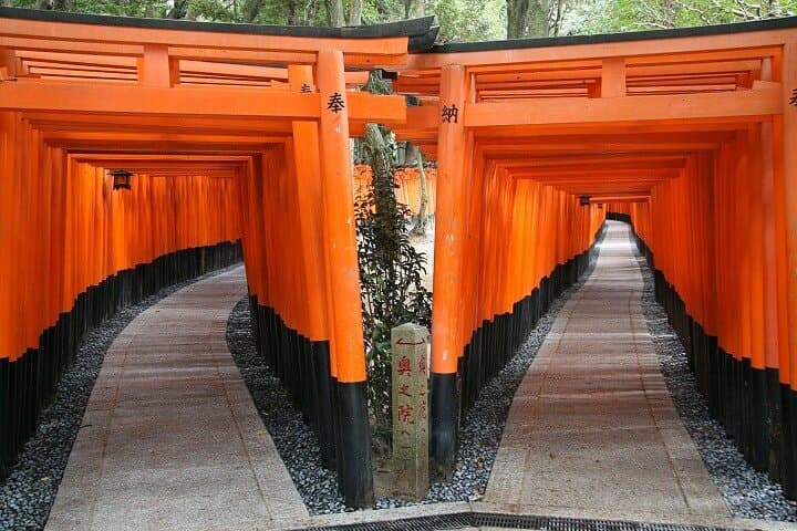From Tokyo 1-Day Kyoto English-guided Tour by Bullet Train