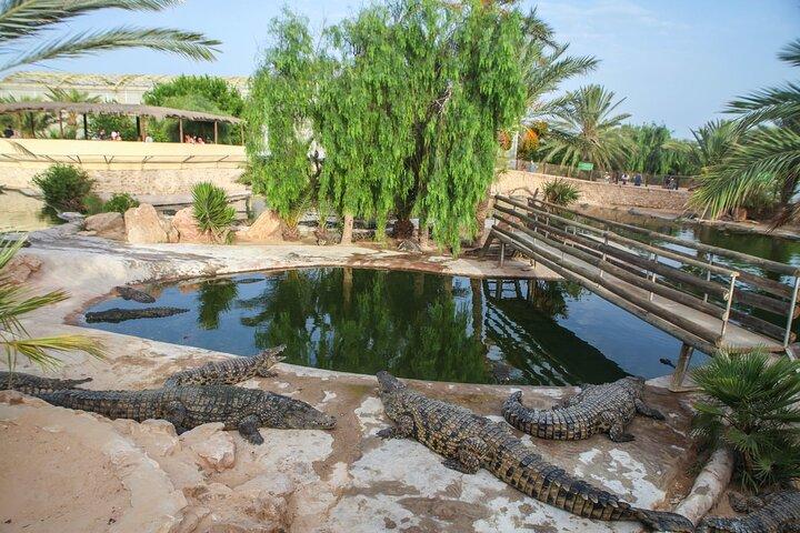 Tour di 4 ore con incontro di coccodrilli nell'isola di Djerba