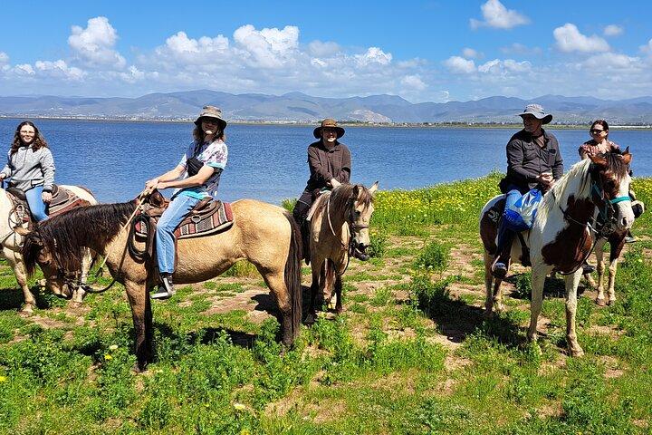 Adventure Delight De ultieme comborit op Desert Trails