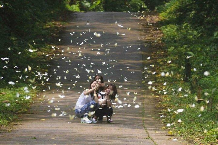 ハノイ - ククフオン国立公園 - マイチャウ | 2泊3日ツアー