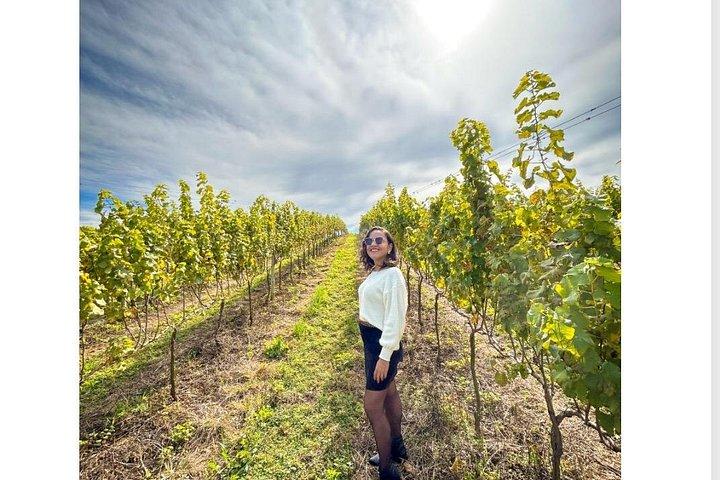 Flavours DE São Roque. DE tasting fine and sparkling wines