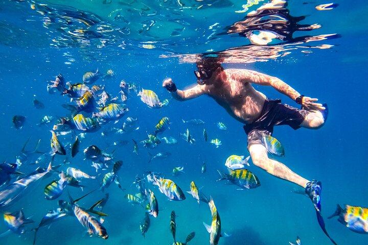 Yacht di lusso e snorkeling con All inclusive Open bar e pranzo