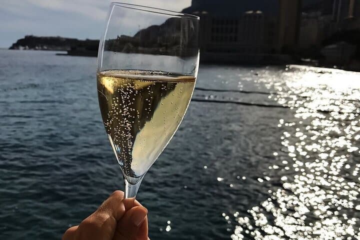 2 Hours Private Boat Tour Como