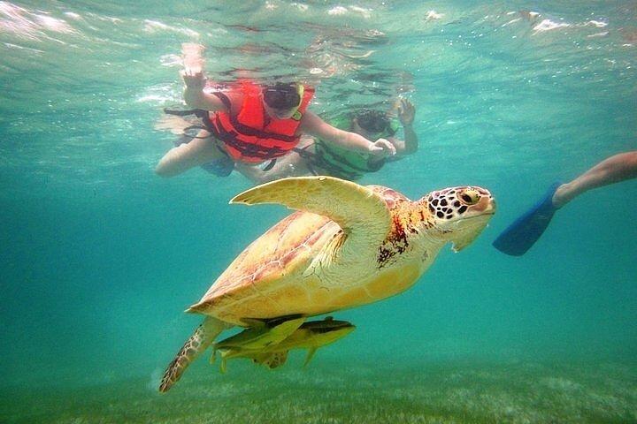 Tour a Tulum y cenote con nado con tortugas desde Riviera Maya