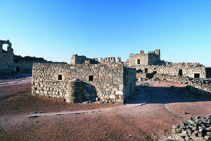 Desde Ammán: tour de día completo a la ciudad de Ammán y castillos del desierto
