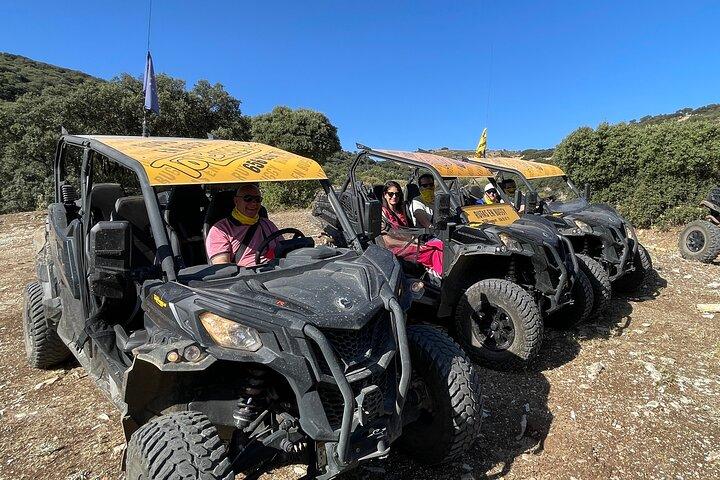 TopBuggy "Surrounding Ronda" Experiência de assinatura