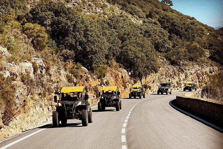 TopBuggy「ロンダを囲む」シグネチャーエクスペリエンス