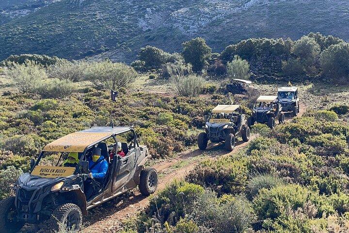 TopBuggy「ロンダを囲む」シグネチャーエクスペリエンス