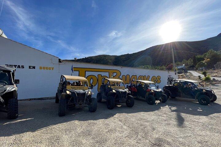 TopBuggy「ロンダを囲む」シグネチャーエクスペリエンス