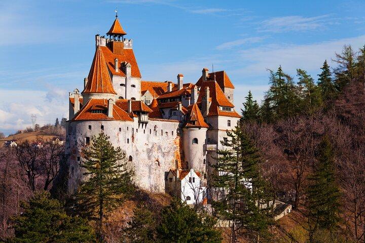 Visita guiada privada al Castillo Histórico del Salvaje