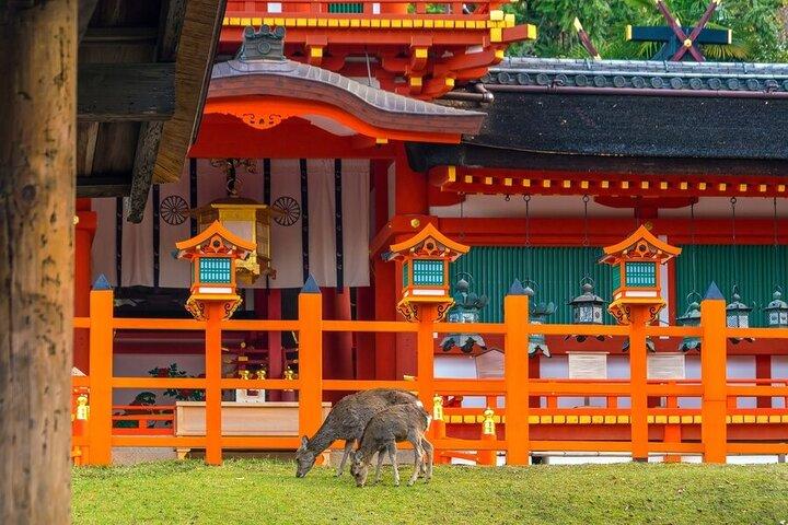 東京から京都・奈良へ：魅惑的な一日プライベートツアー