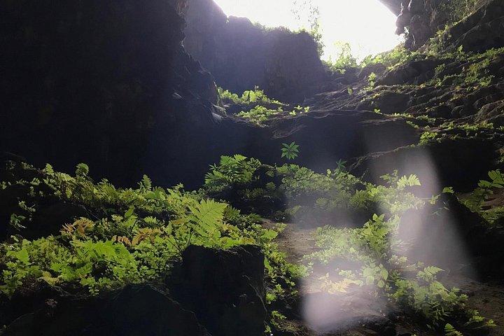 プルオン～ニンビン～ハロン湾 5日間