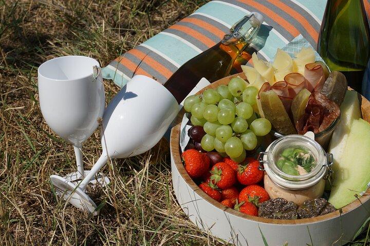 Eksklusiv all inclusive vinpicnic i vinmarkerne