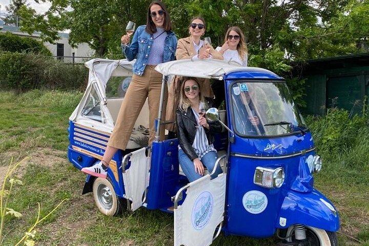 La Dolce Vienna - Ape Sightseeing Tour "Vino" - l'esprit local !