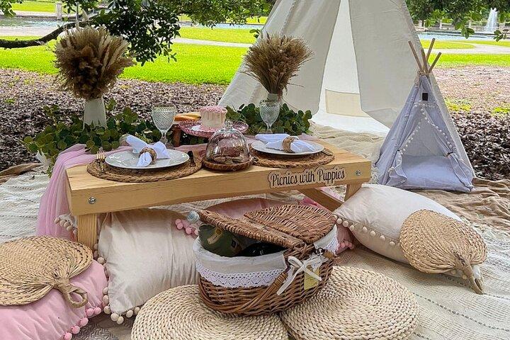 Picnic di lusso a tema