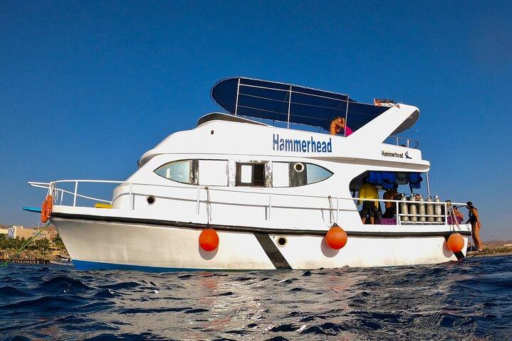 Experiencia de buceo y esnórquel en barco en Aqaba