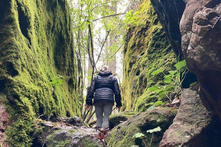 Hike in the Sierra Norte, Cuajimoloyas