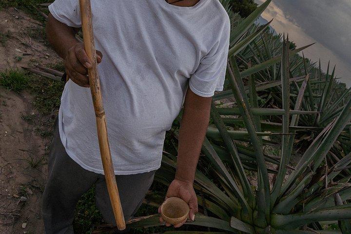 Ultimate Hierve el Agua Hike + Mezcal