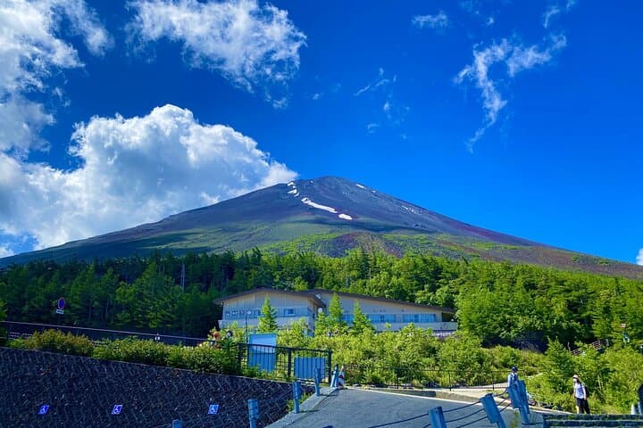 Private Tour to Mt Fuji, Lake Kawaguchi with Limousine and Driver