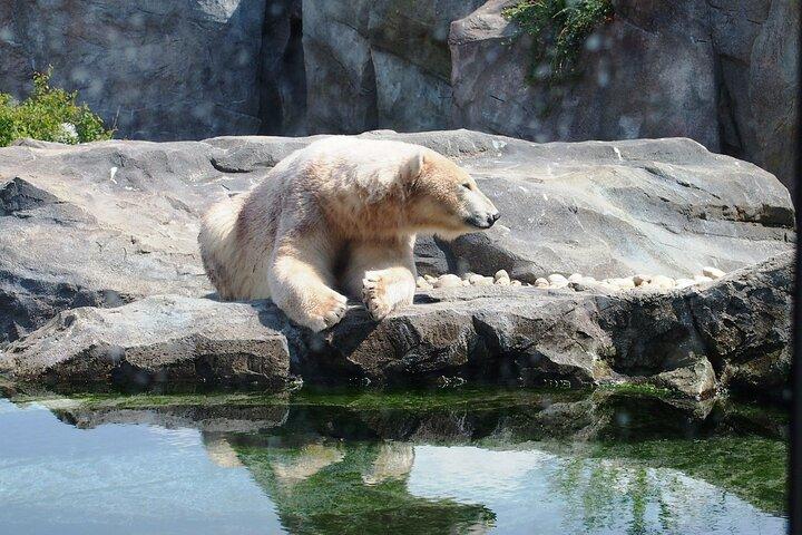 シェーンブルン動物園ウィーンへのフレキシブルな専用交通