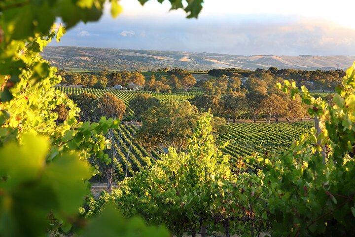 Wine Tour Yarra Valley Expérience cinq étoiles