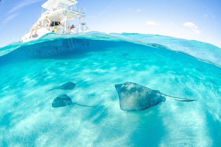 Cayman Adventure: Starfish Point, Stingray City e Coral Gardens