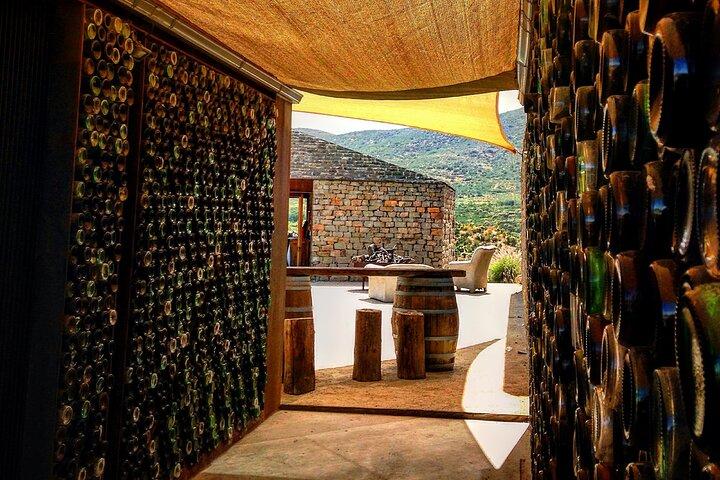 Tour de cata de vinos SOLO para visitantes de cruceros. ¡TODO INCLUIDO!