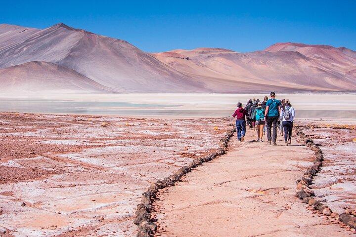 Altiplanic Lagoons Salar de Atacama Villages and Red Stones
