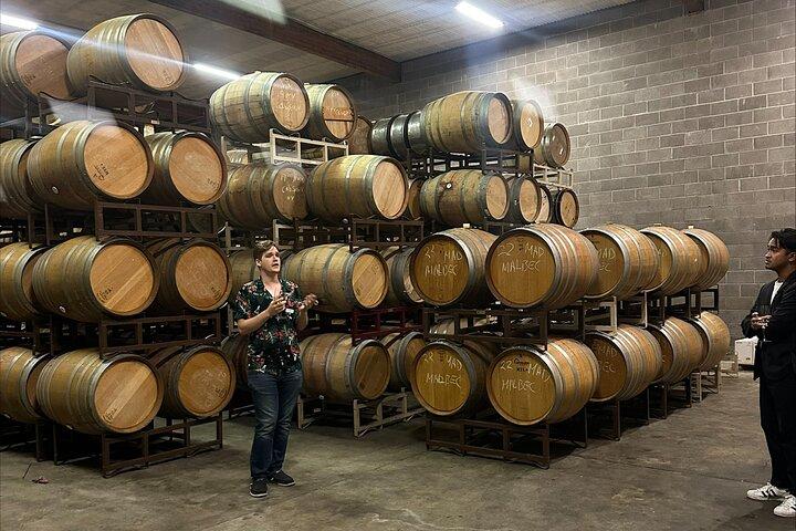San Francisco: Napa & Sonoma Weintour & 24h Hop-on Hop-off Tour