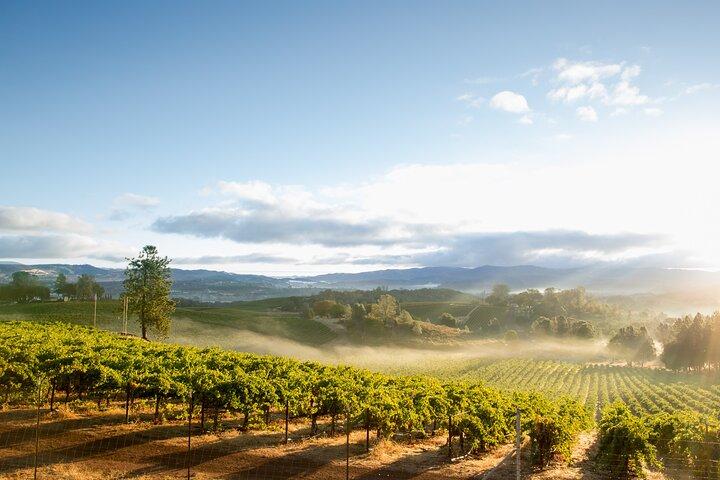 From San Francisco: Napa & Sonoma Valley Wine Tour with Tastings