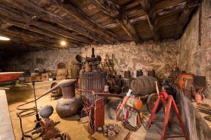 Duero y Vinho Verde: Tour privado de bodegas familiares en Portugal