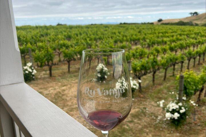 From San Francisco: Napa & Sonoma Valley Wine Tour with Tastings