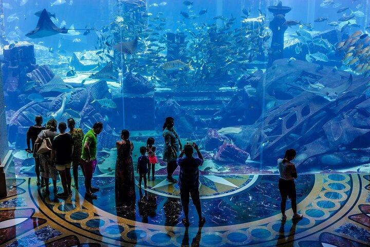 Lost Chamber Aquarium à Dubaï