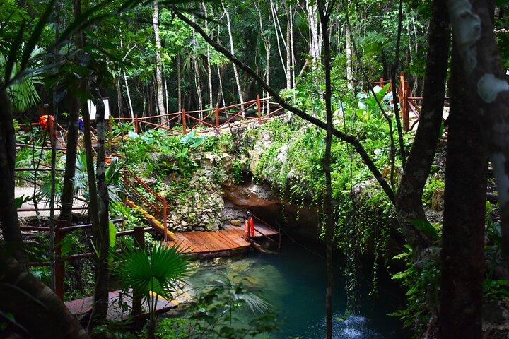 Descubre 3 increíbles cenotes. Incluye transporte y snack.