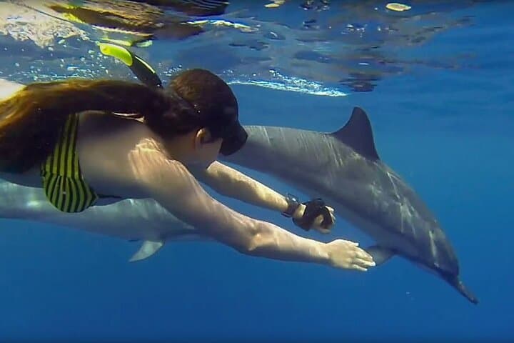 Mnemba Island Snorkeling and Swimming with Dolphin Full Day Trip