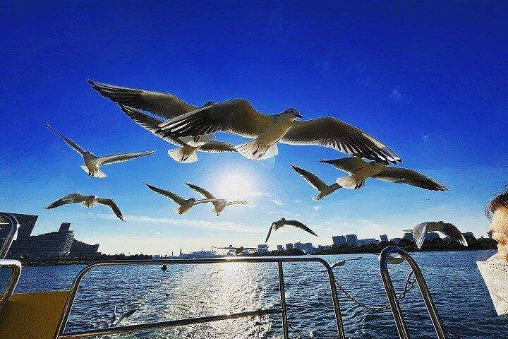 Tokyo Water Taxi Bayzone Tour