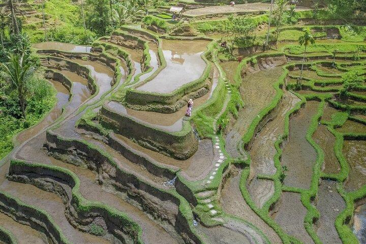 UBUD Instagram Spot Tour with Photographer