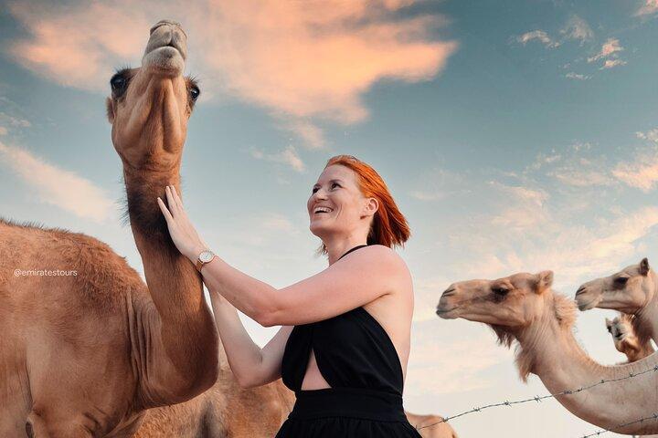 Overnight Desert Safari with BBQ Dinner & Breakfast Abu Dhabi