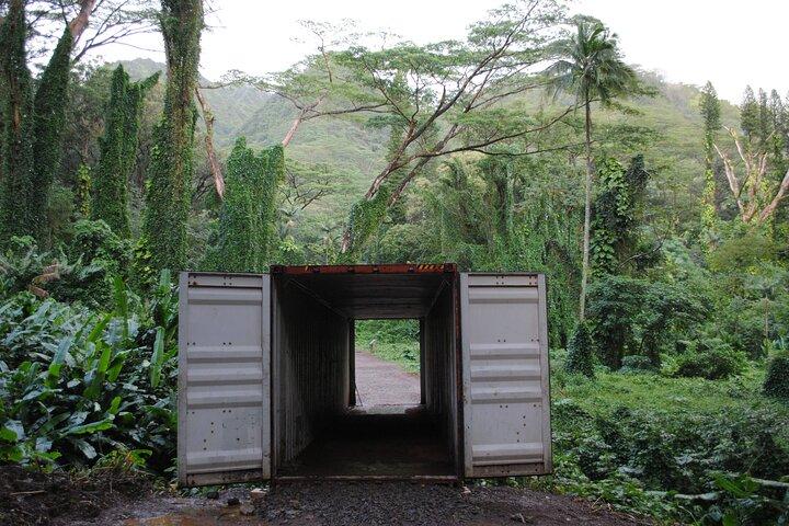 Waikiki Bicicleta Eléctrica Tour Autoguiado - Manoa Falls Bicicleta y Caminata
