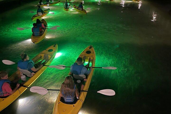 クリアウォーターでのシャーキー グラス底魚の餌付け LED ナイト ツアー