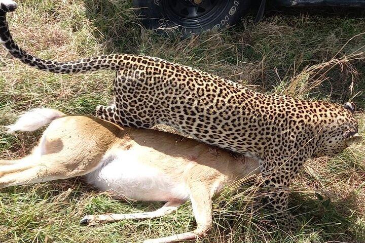 Safari en groupe partagé de 3 jours au Masaai Mara en Safari Jeep