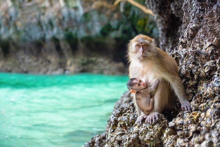 Phuket : excursion de plongée avec tuba à Wow Andaman, aux îles Phi Phi et Bamboo
