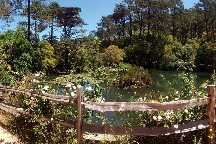 Private Tour Sintra Gardens Palácio da Pena Cabo da Roca Cascais